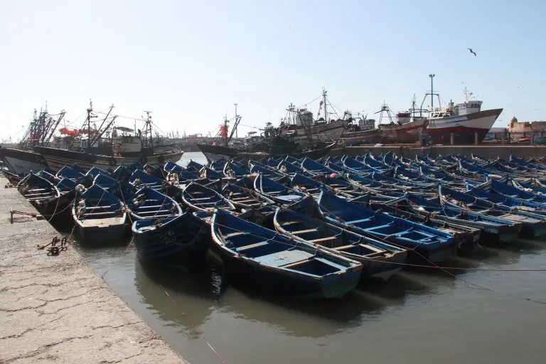 Agadir Boat Trip: Cruise, Fish and Swim Off the Coast in Agadir, Morocco