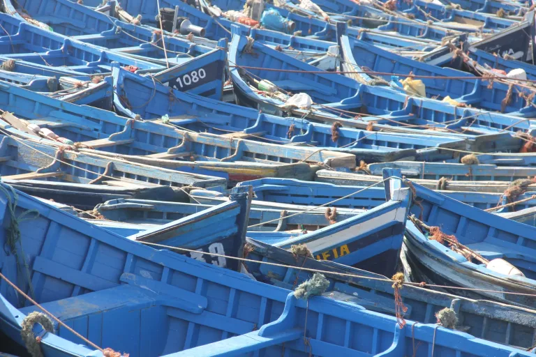Agadir Boat Trip: Cruise, Fish and Swim Off the Coast in Agadir, Morocco