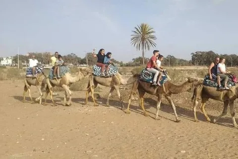 3 Activities in 1 Day from Taghazout: Camel, Jet Ski and Quad in Agadir, Morocco