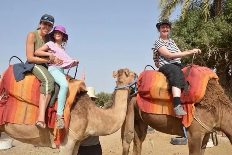 Camel Ride from Taghazout: Sunset, Tea and Back for Dinner in Agadir, Morocco