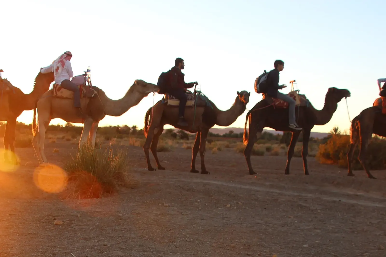 Camel Ride and Sunset Barbecue from Taghazout in Agadir, Morocco