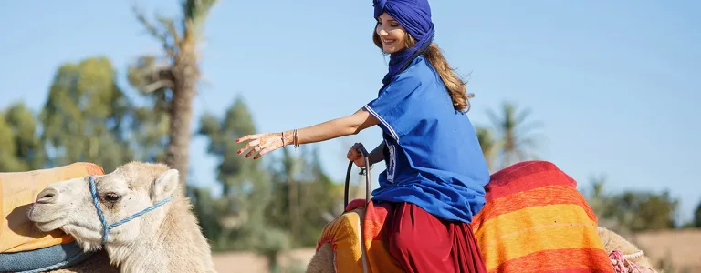 Camel Ride from Taghazout: Sunset, Tea and Back for Dinner in Agadir, Morocco