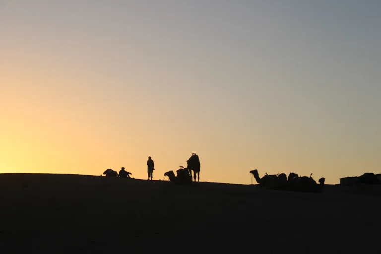 Camel Ride from Taghazout: Sunset, Tea and Back for Dinner in Agadir, Morocco