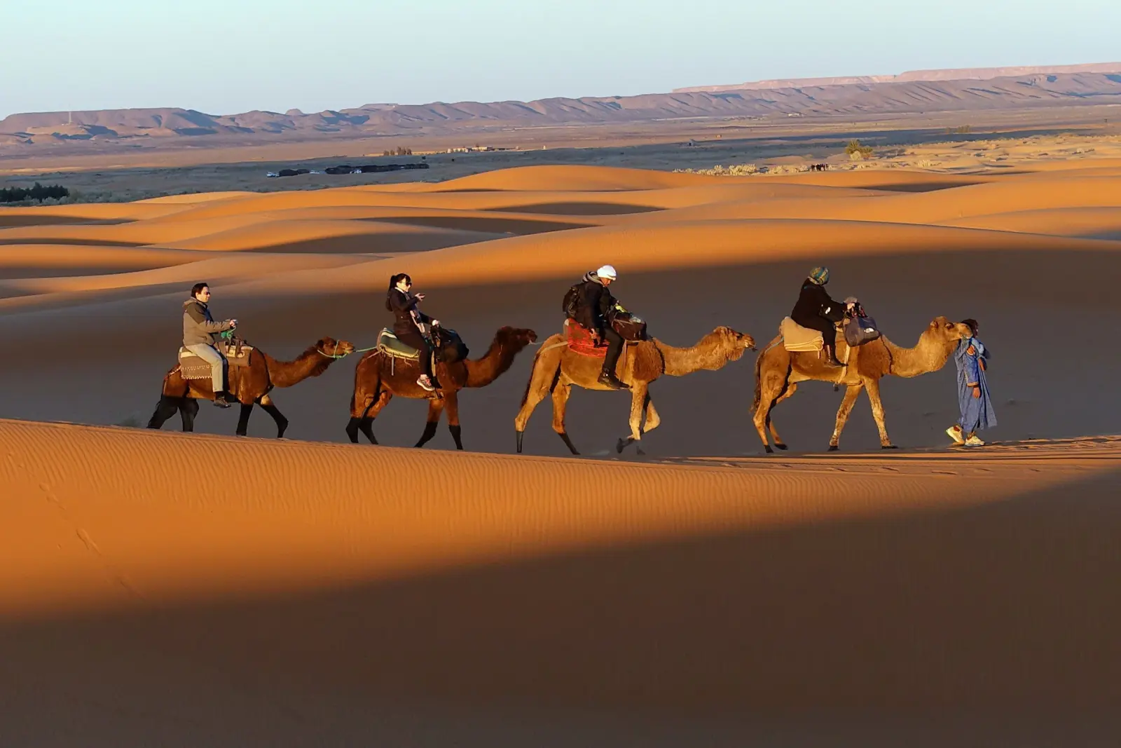 Travelers riding camels along a dune crest at golden hour in the Chegaga dunes, led by a guide walking in a blue robe