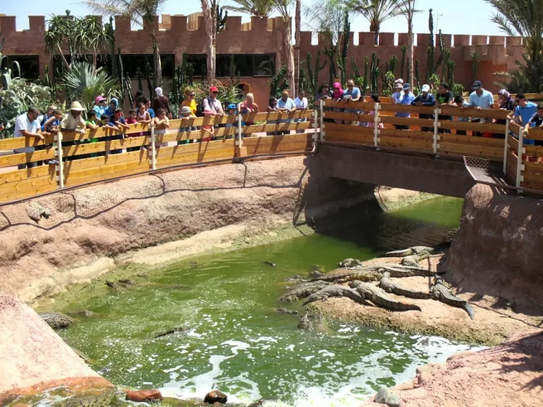 Crocoparc from Taghazout: Crocodiles, Gardens and a Nursery in Agadir, Morocco