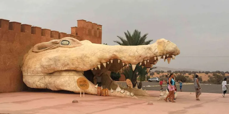Crocoparc from Taghazout: Crocodiles, Gardens and a Nursery in Agadir, Morocco