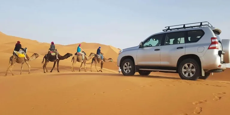 Mini Sahara Tour from Agadir: Berber Lunch and the Rasmouka Dunes in Agadir, Morocco