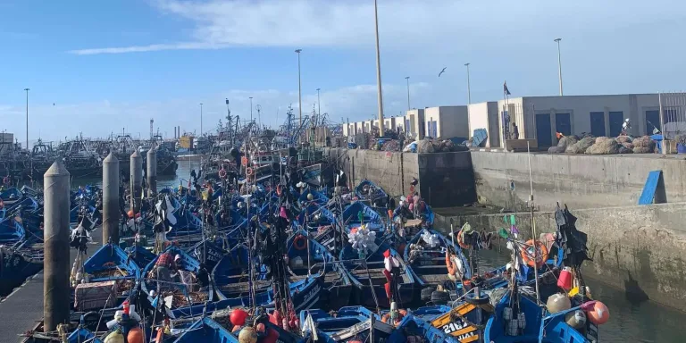 Essaouira from Taghazout: Sea Walls, Blue Boats and Five Free Hours in Agadir, Morocco