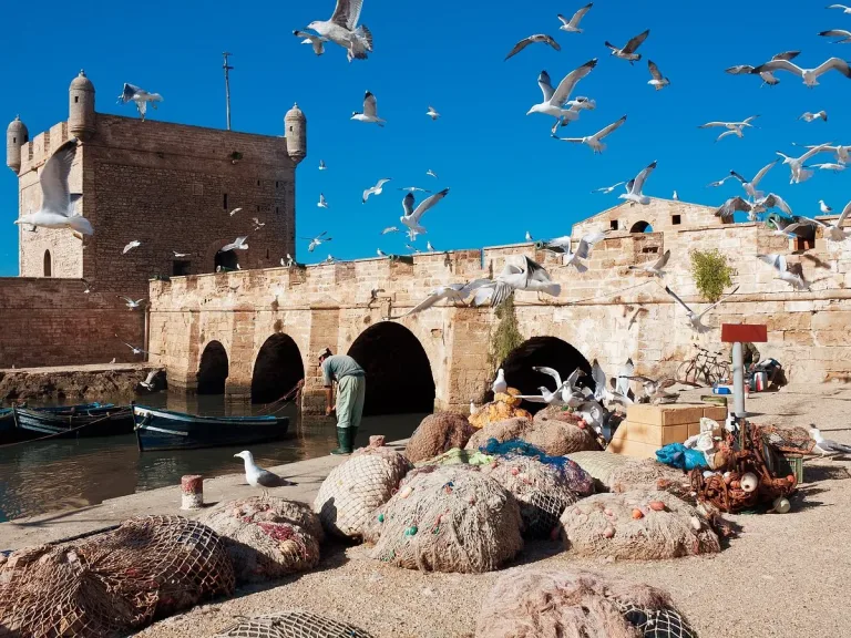 Essaouira from Taghazout: Sea Walls, Blue Boats and Five Free Hours in Agadir, Morocco