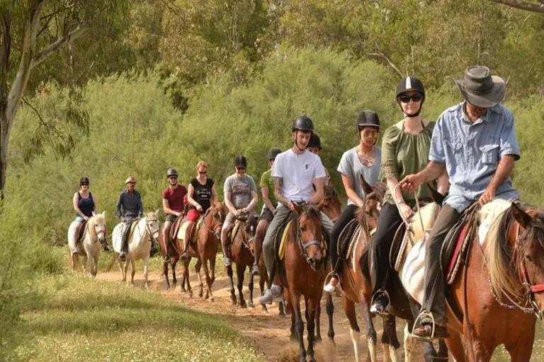 Horse Riding from Taghazout: Sand, Argan Trails and the Atlantic in Agadir, Morocco