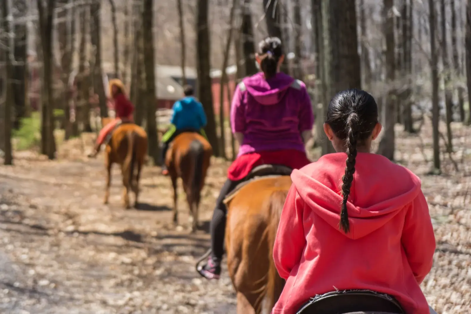 Group of horse riders following a sandy trail lined with green shrubs