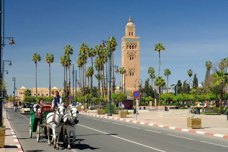 Marrakech from Taghazout: A Long Day Inland to the Red City in Agadir, Morocco