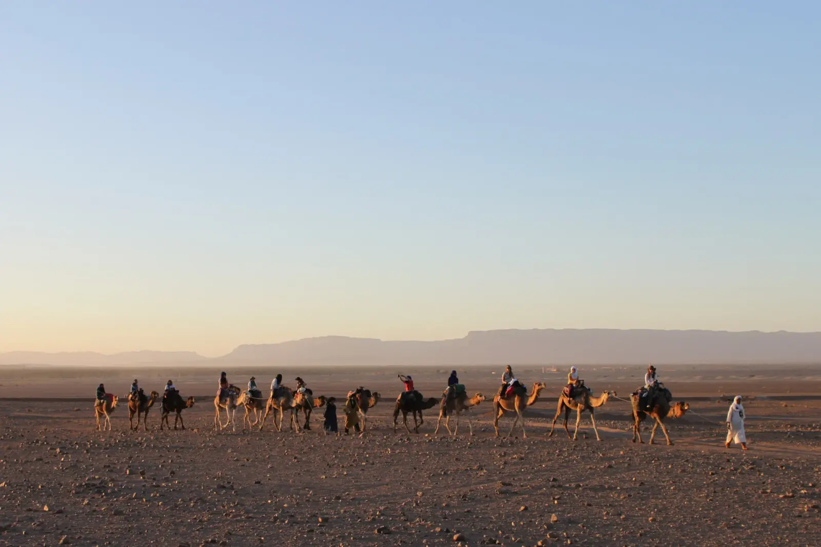 A camel caravan led by a guide crosses the rocky desert plain near Zagora under a pastel sunset sky