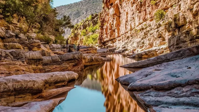 Paradis Tours in Agadir, Morocco