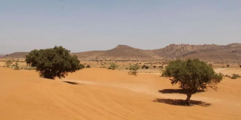 Mini Sahara Tour from Agadir: Berber Lunch and the Rasmouka Dunes in Agadir, Morocco