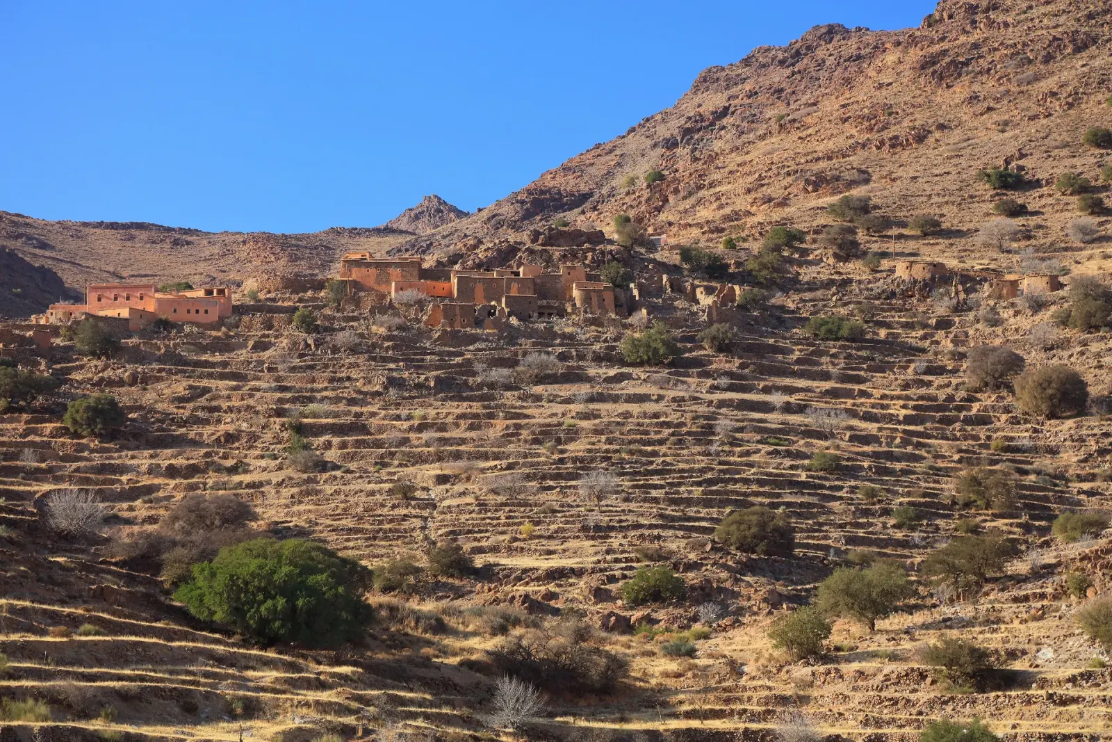 Tafraout and Tiznit from Taghazout: A Day in the Pink Granite in Agadir, Morocco