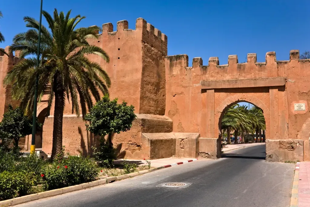 The ochre ramparts and crenellated gate of Taroudant's medina framed by a tall palm tree under a blue sky