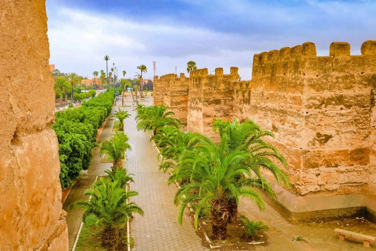 Palm trees lining a walkway along the ochre ramparts of Taroudant's old city walls