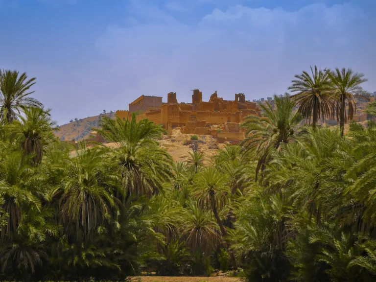 Taroudant and Tiout from Taghazout: Ramparts, Souks, Kasbah Lunch in Agadir, Morocco