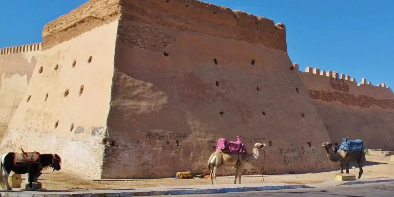 Taghazout Airport Transfer: The Long Drive North, Covered in Agadir, Morocco